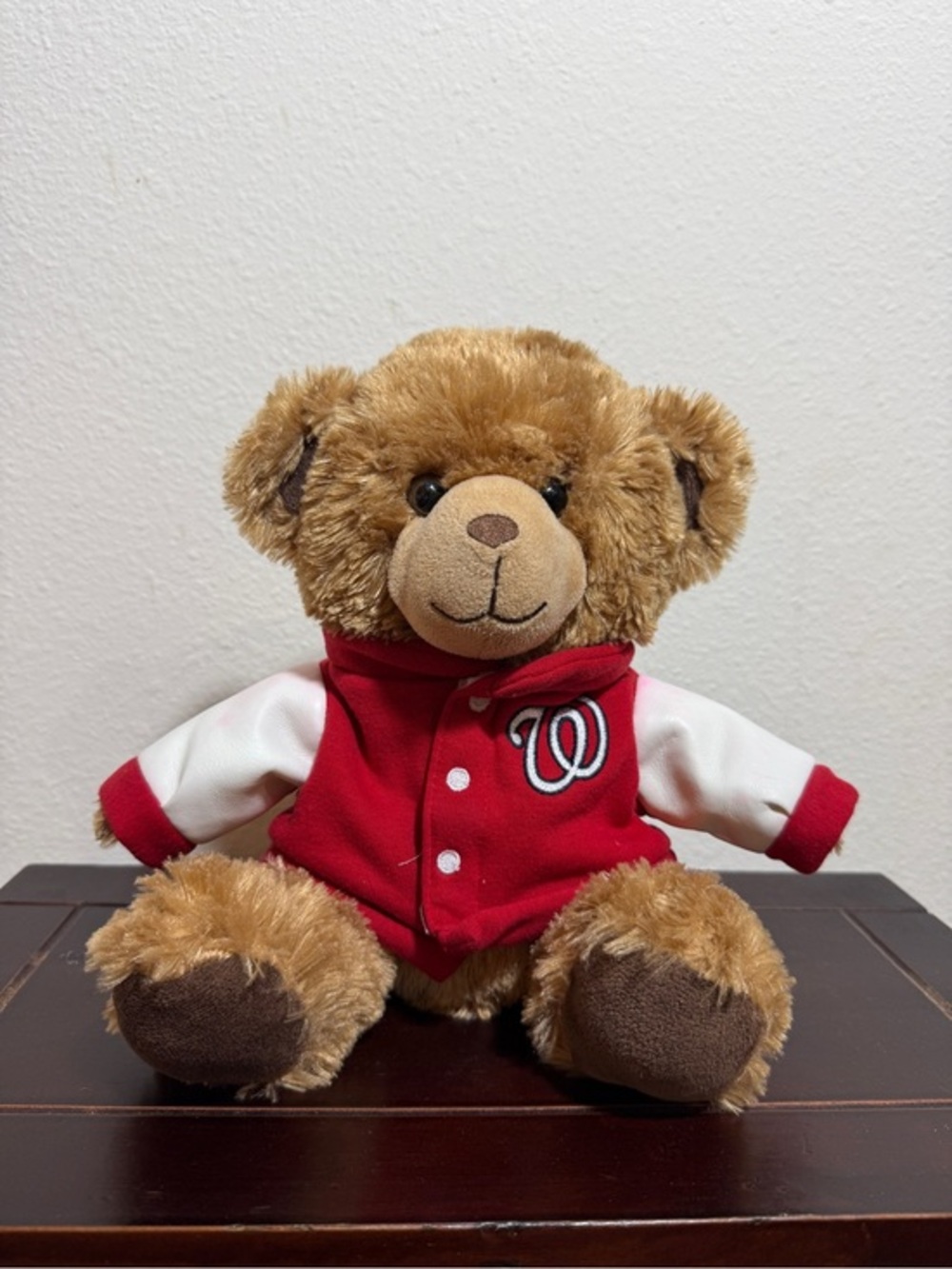 Washington Nationals Plush Bear 2019 World Series Champions FOCO Hooded Jacket